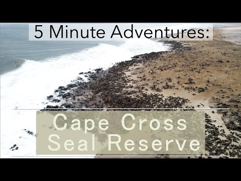 Video: Cape Cross Seal Qoruğu, Namibiya: Tam Bələdçi