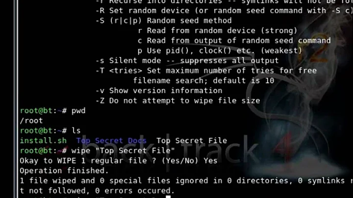Backtrack 4 R2 Digital Forensics Wipe