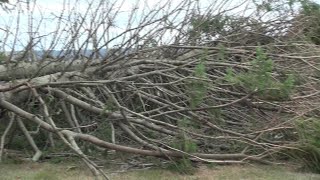 Video Now: Portsmouth Wind Damage