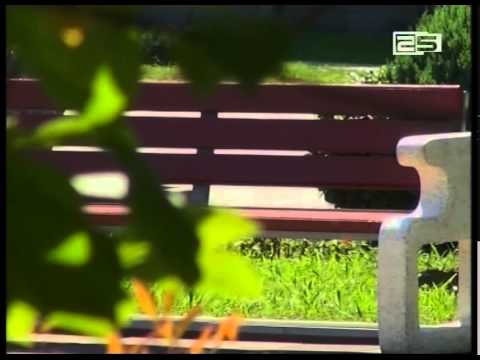 ბათუმის მერია სკვერებში სკამებს ცვლის