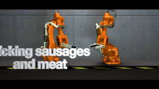ABB Robotics - Picking Packing Palletizing - 10 popular applications.