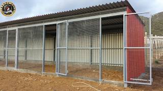chicken building farm coops freddy