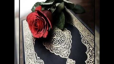 تلاوة حجازية (ايوبية) من سورة الأنبياء للقارئ توفيق ابو الحمدان