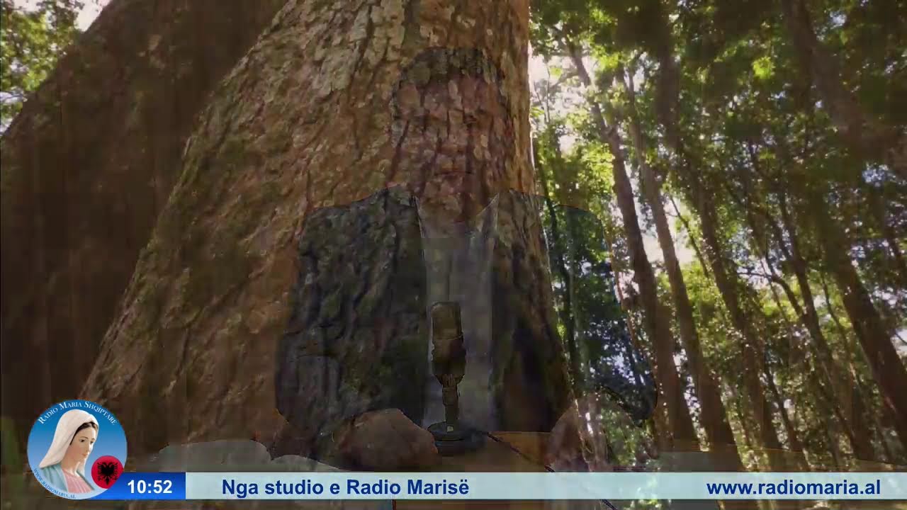 Fjala që ndriçon jetën - Emision nga Dom Gjovalin Simoni