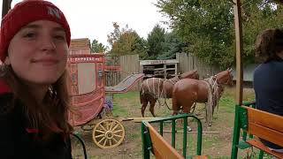 10-31-2021 Vala's Pumpkin Patch