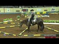 A Judge's Perspective: 2018 AQHYA 14-18 Trail World Champion