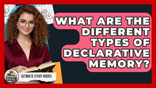 What Are The Different Types Of Declarative Memory? - Ultimate Study Hacks