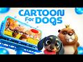 Watchable Cartoons for Dogs 🐶 | Tailored with Dog-Visible Colors | Ultimate TV for Dogs
