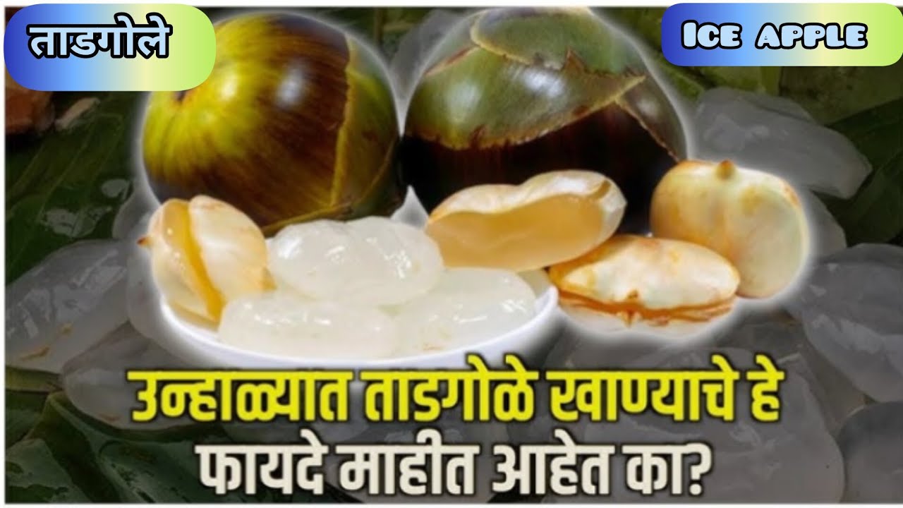 उन्हाळात ताडगोले शरीराला खूप उपयुक्त असतात. 