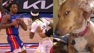 NBA PLAYERS and the ART of ALMOST FIGHTING