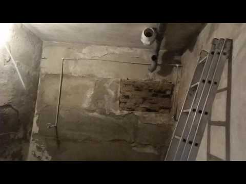 грибница с нуля..финишная прямая..