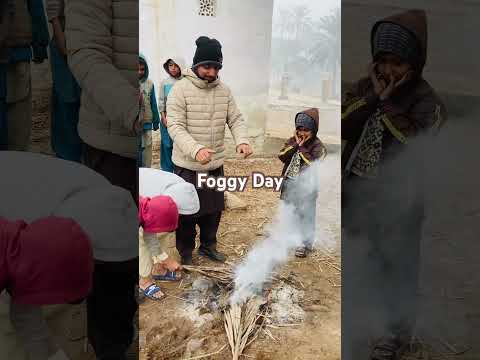 Foggy Day | My Village #kingri #sindh #school #govtSchool #sindh