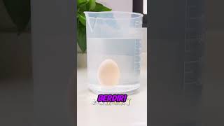 Bingung Bedain Telur Bagus atau Enggak😱⁉️