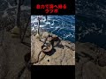 自力で海へ帰るウツボ