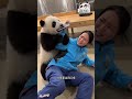 Cute Panda #panda #pandas  #fyp #shorts #aipanda #youtubeshorts  #trending  #shahichannel #ai #006