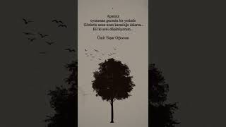 Bil Ki Seni Düşünüyorum