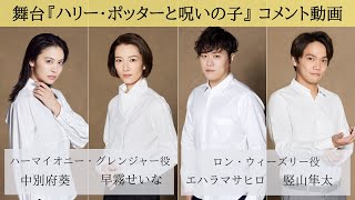 早霧せいなお茶会DVD宝塚雪組私立探偵ケイレブハントハリーポッター