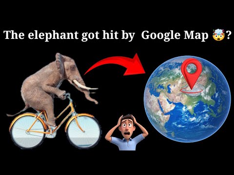The elephant got hit by the bicycle and that too on Google Map 😱😱