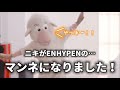 このマンネギャップありすぎだろ！！【I-LAND/ENHYPEN/NI-KI/日本語字幕】