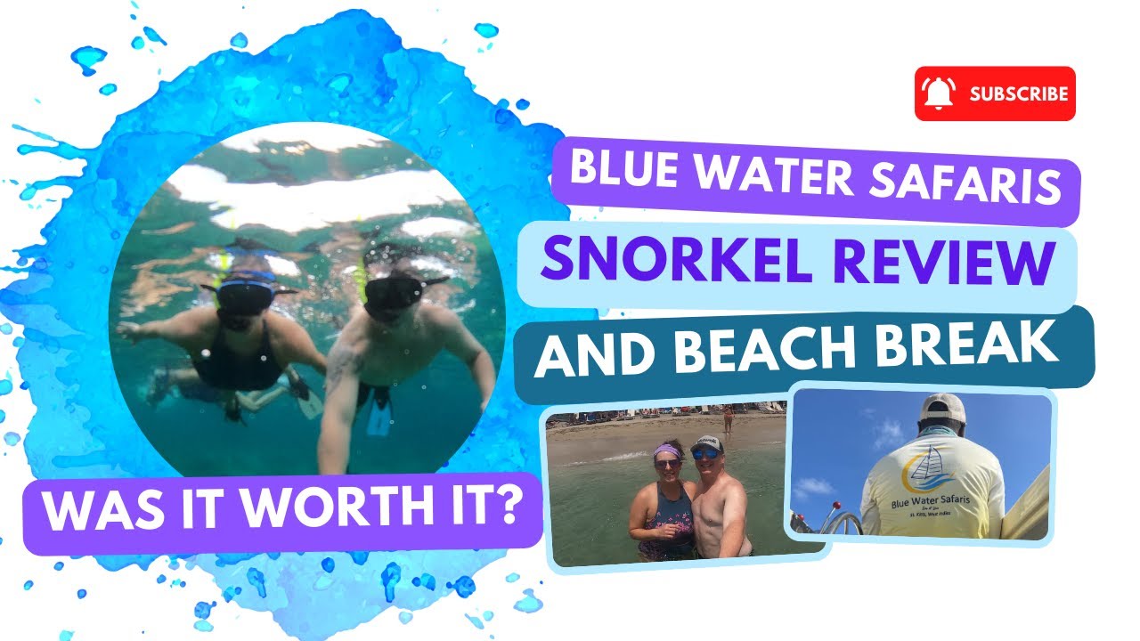 Blue Water Safaris Snorkel Review YouTube