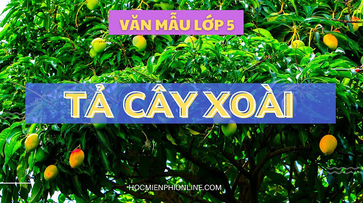 Bài văn tả cây xoài lớp 5 hay nhất