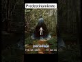 La Paradoja del predestinamiento #datoscurisos #astronomia #misterio #alien