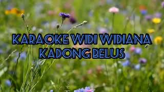 karaoke widi widiana- kadung belus