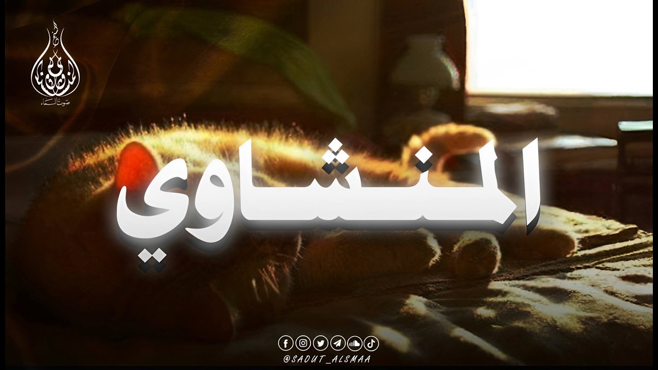 خشوع نادر… المنشاوي يتلو فتدمع العين وتهدأ النفس