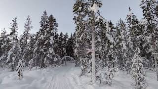 Stor Skabram Frozen Woods hike from Jokkmokk - Arctic Vlog Day 2