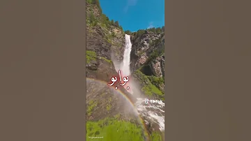 مع انو الهوى غلاب 