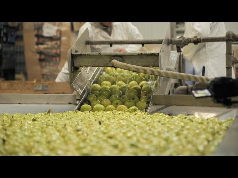 Videó: Hogyan Szervezzünk Mezőgazdasági Vállalkozást