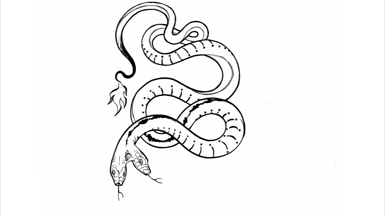 dwam, two headed snake, snake, illustration, procreate.