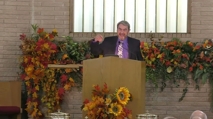 TERRY JACKSON  "GOOD SHEPHERD BAD SHEEP"