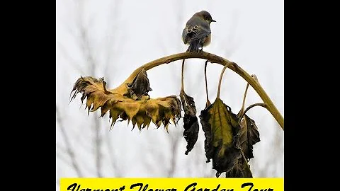 Flower Garden Tour, Vermont, USA