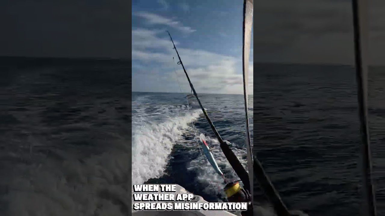 When the Weather App Lies to You 