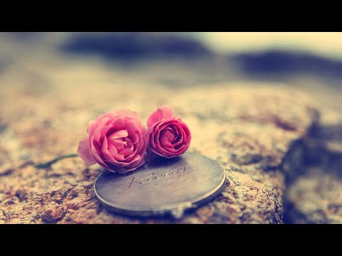 tum-yun-mile-ho-jabse-mujhe-(phir-bhi-tumko-chahunga)-▶-video-for-whatsapp-status