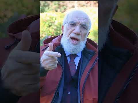 هل يحق للزوج منع زوجته عن العمل د عمر عبدالكافي
