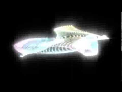 Trapcode - Form - Animation