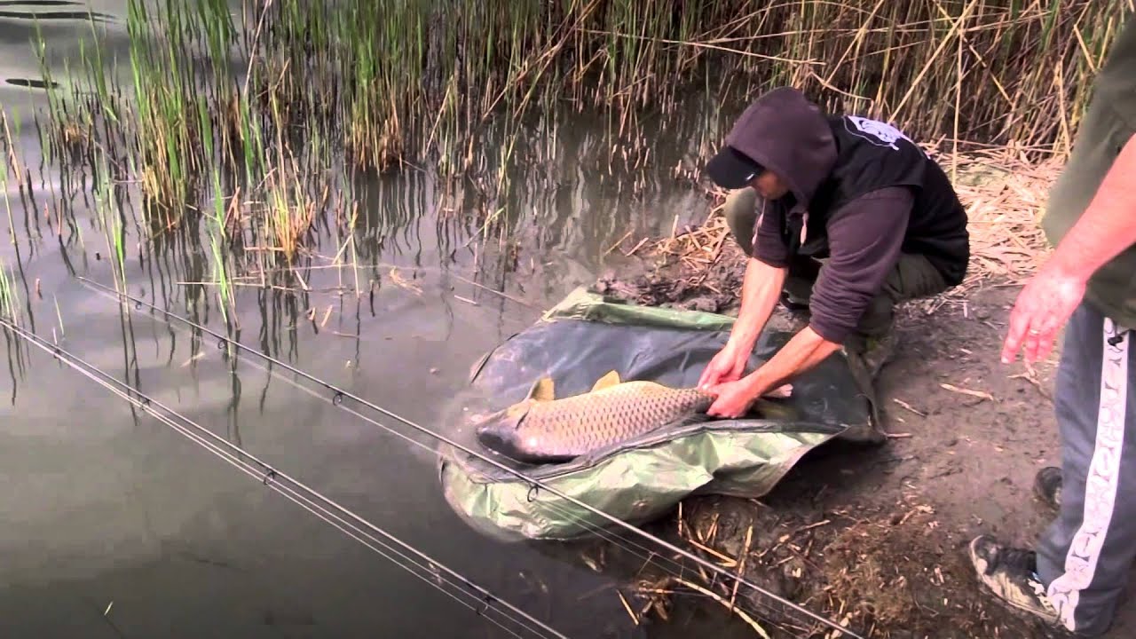1. Carpexpress Dolnobarský Carp Cup FULL MOVIE