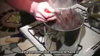 Manifestando la mente  7 de 14