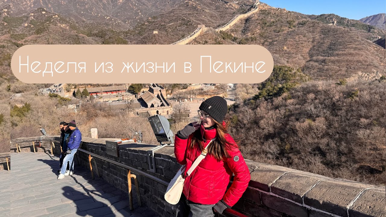 Учеба в Пекине🇨🇳 Peking University vlog | Великая стена и Запретный город