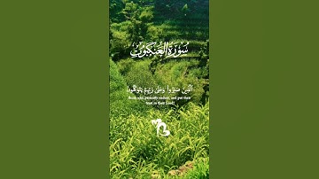 تلاوة تفوق الوصف بصوت تخشع له القلوب #تلاوة #اكسبلور #المصحف #aslam #trend #duet #قران_كريم #لايك