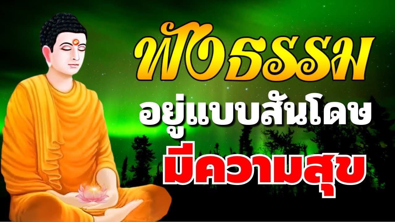 ฟังธรรมะก่อนนอน 🌿 ปล่อยวาง จิตสงบ ได้บุญมาก หลับสนิท 🌿 ฟังธรรมะก่อนนอน Channel