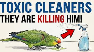 Toxic Cleanliness (The Dangers of Spring Cleaning)