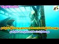 Newly Tamil Dubbed Time Worth Movies
