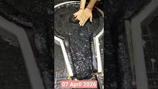 Daily Baba Baidyanath Jyotirlinga Dharshan Deoghar Jharkhand