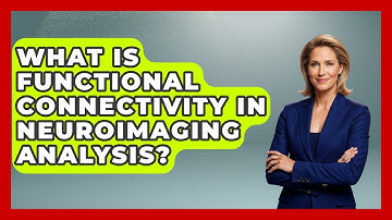 What Is Functional Connectivity In Neuroimaging Analysis? - Neurotech Insight Pro