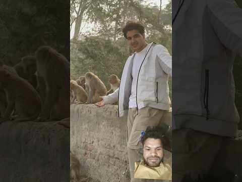 Nadeemali68155 Gmail Com