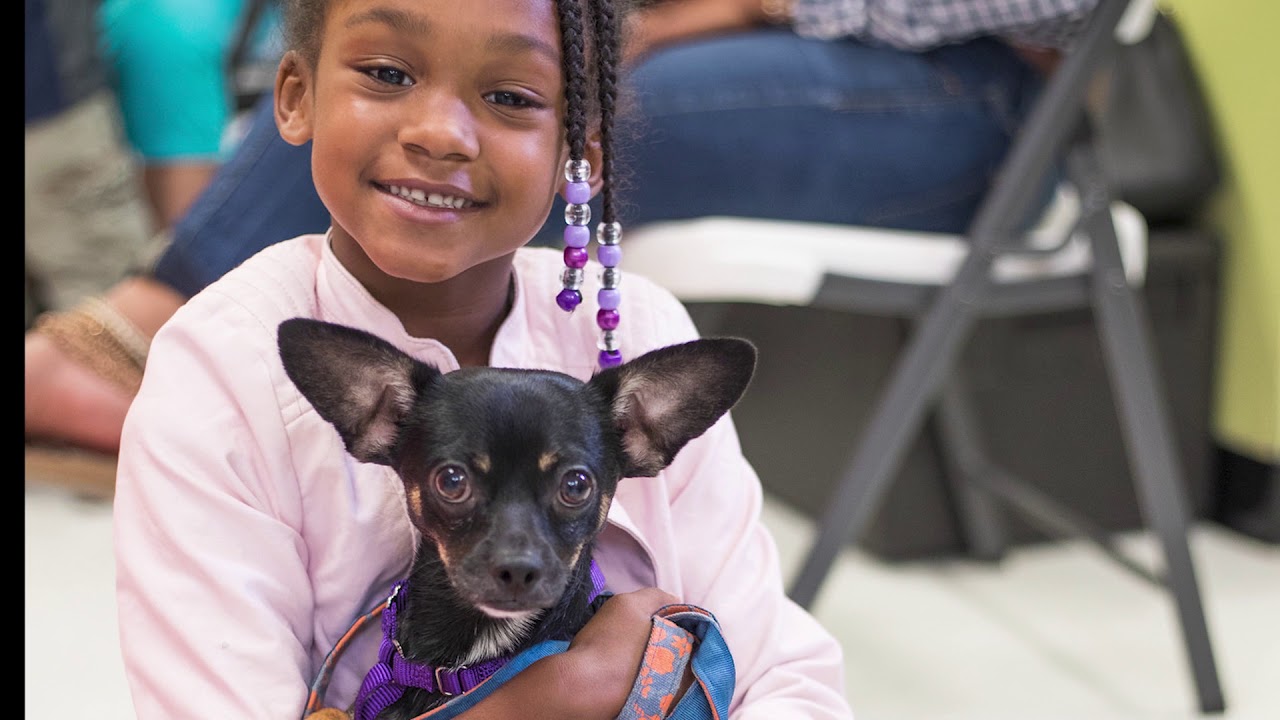 Animal Rescue League of Boston Pet Wellness Clinic ...