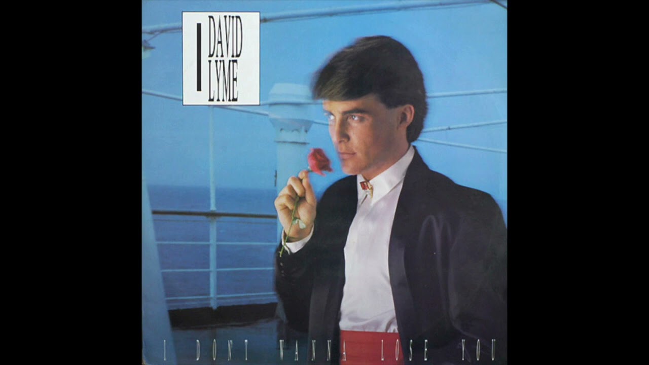 David Lyme - I Don't Wanna Lose You (1986)